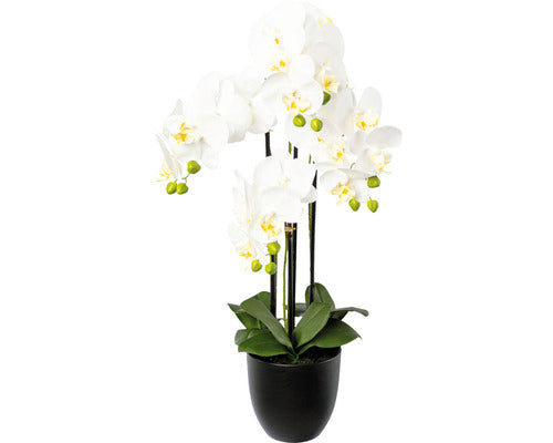 Planta Artificiala Orhidee Fluture Phalaenopsis In Vas Ceramic H 69 Cm Alb