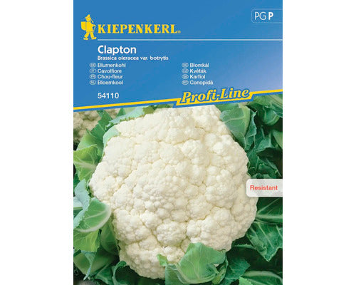 Seminte Legume Kiepenkerl Conopida Clapton F1