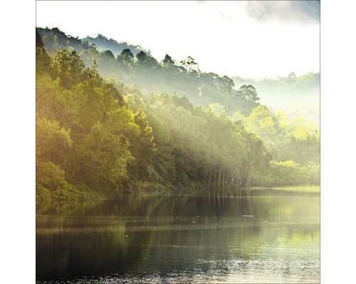 Tablou Sticla Forest Atmosphere Ii 30x30 Cm