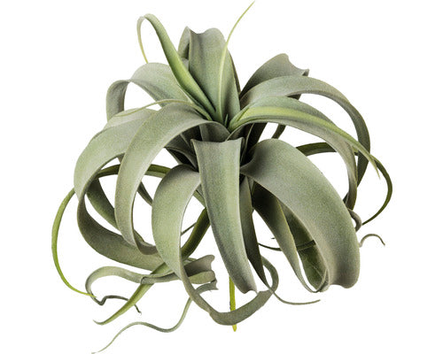 Planta Artificiala Tillandsia Mix H 28 Cm Verde