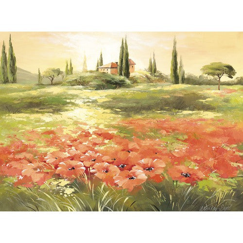 Tablou canvas Poppy Field, 57x77 cm