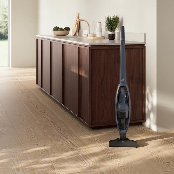 Aspirator vertical fara fir, Electrolux, Negru