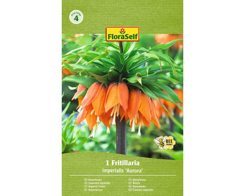 Bulb De Flori Floraself Fritillaria Imperialis Aurora 20/22 1 Buc