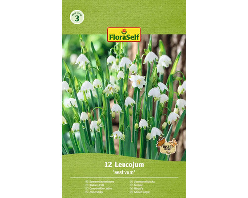 Bulbi De Flori Floraself Ghiocei Bordurati Aestivum 8/9 12 Buc