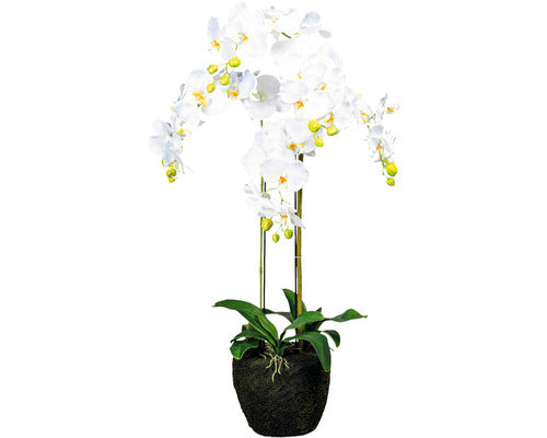 Planta Artificiala Orhidee Fluture Phalaenopsis In Ghiveci H 100 Cm Alb