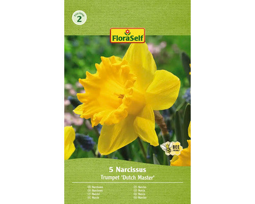 Bulbi Narcise Floraself Ducth Master 12/14 5 Buc