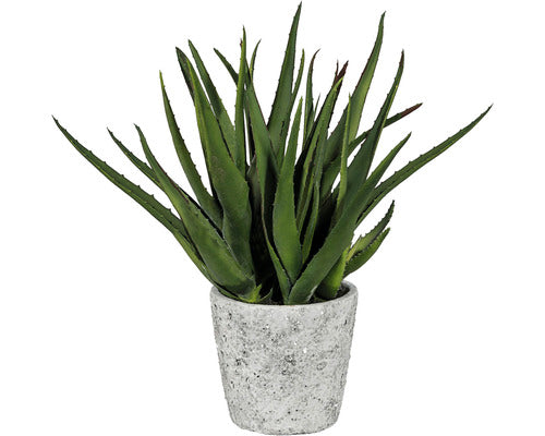 Planta Artificiala Aloe Vera In Ghiveci H 44 Cm Verde