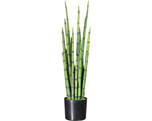 Planta Artificiala Limba Soacrei Sanseveria Cilindrica In Ghiveci H 100 Cm Verde