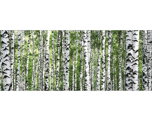Tablou Sticla Tree Trunk Collection 30x80 Cm