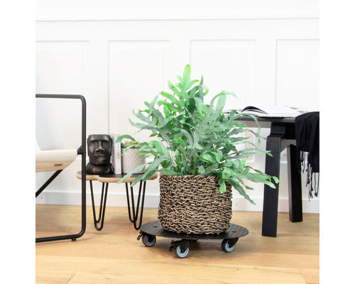 Suport Ghiveci Cu Roti Wagner Metal Ø 38 Cm Negru