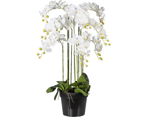 Planta Artificiala Orhidee Fluture Phalaenopsis In Ghiveci H 110 Cm Alb