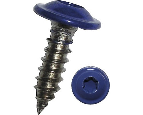 Holsuruburi Cu Cap Semibombat Torx Dresselhaus 4, 8x16 Mm Otel Inox A2 Albastru, 100 Bucati