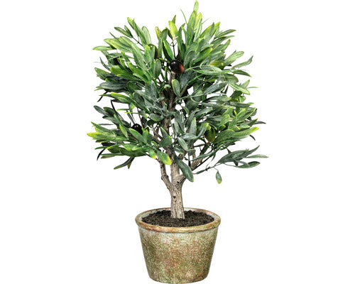 Planta Artificiala Maslin In Ghiveci H 36 Cm Verde