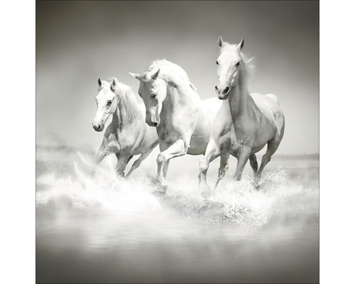 Tablou Sticla White Horses 20x20 Cm
