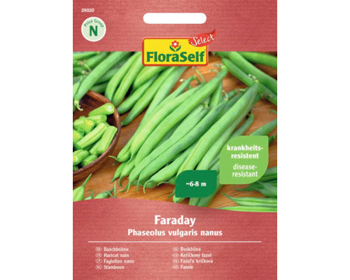 Seminte Legume Floraself Select Fasole Faraday