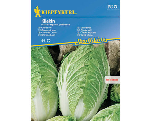 Seminte Legume Kiepenkerl Varza Chinezeasca Kilakin F1