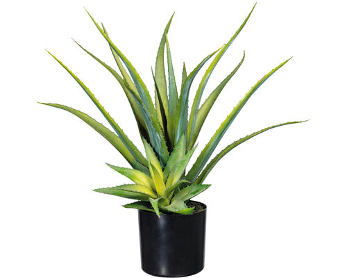 Planta Artificiala Aloe Vera 2 Ramuri In Ghiveci H 48 Cm Verde