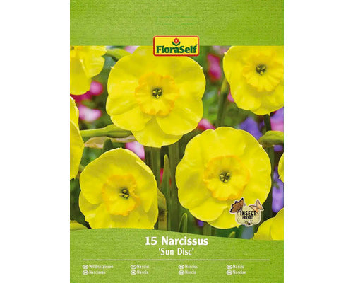 Bulbi Narcise Floraself Sundisc 10/12 15 Buc