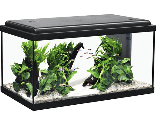 Acvariu Advance Led, 60 X 30 X 34 Cm, Negru