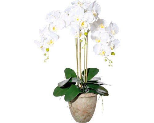 Planta Artificiala Orhidee Fluture Phalaenopsis In Vas H 75 Cm Alb