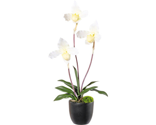 Planta Artificiala Cypripedium In Vas H 45 Cm Crem/verde