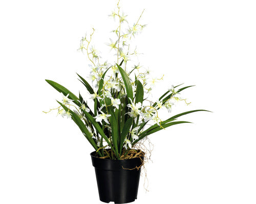 Planta Artificiala Oncidium Dancing Queen In Ghiveci H 60 Cm Alb