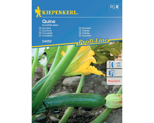 Seminte Legume Kiepenkerl Dovlecei Quine F1