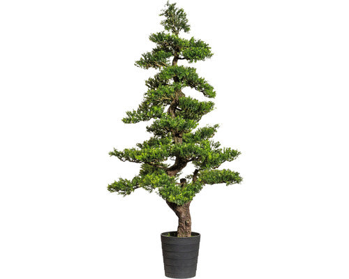 Planta Artificiala Bonsai Zada In Ghiveci H 160 Cm Verde
