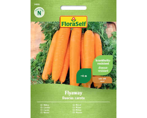 Seminte Legume Floraself Morcovi Flyway F1