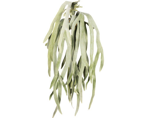 Planta Artificiala Feriga Platycerium Suspendata H 80 Cm Verde
