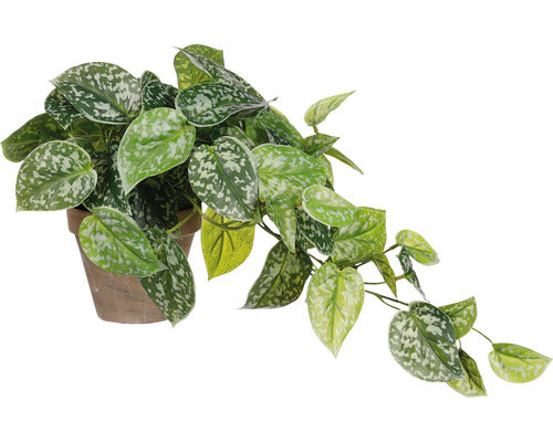 Planta Artificiala Mica Scindapsus Ghiveci Ø 17 Cm H 44 Cm