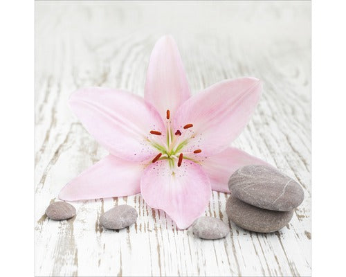 Tablou Sticla Pink Line 20x20 Cm