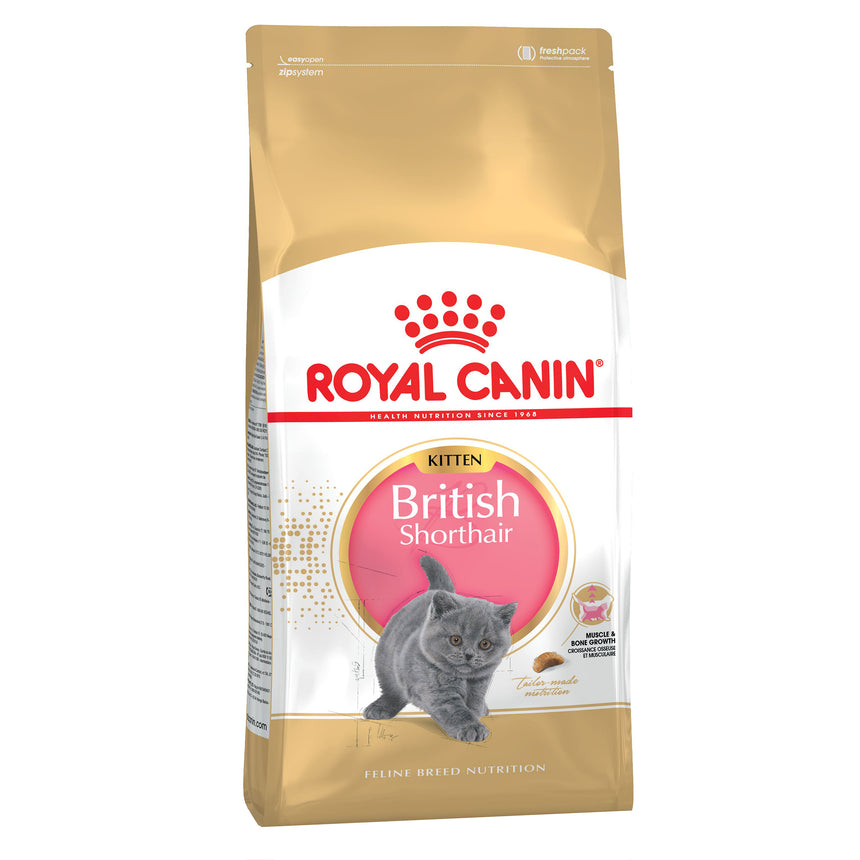 Royal Canin British Shorthair Kitten hrana uscata pisica junior, 2 kg