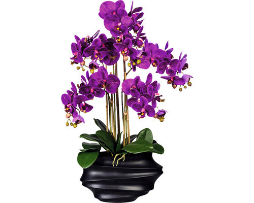 Planta Artificiala Orhidee Fluture Phalaenopsis In Vas 5 Ramuri H 75 Cm Lila