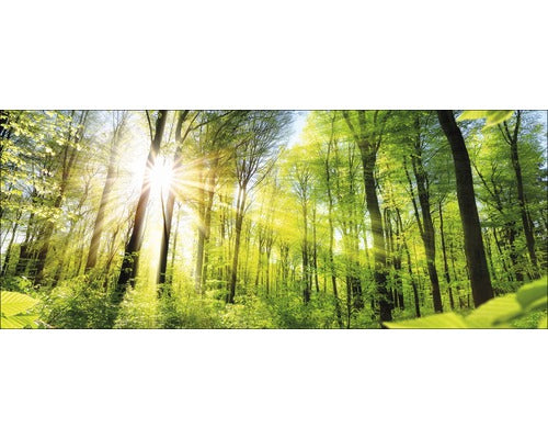 Tablou Sticla Towards The Sun 30x80 Cm
