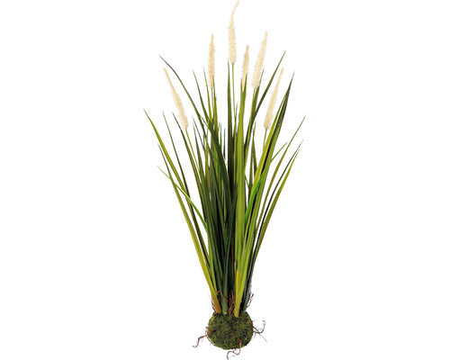 Planta Artificiala Iarba Miscanthus H 63 Cm Crem