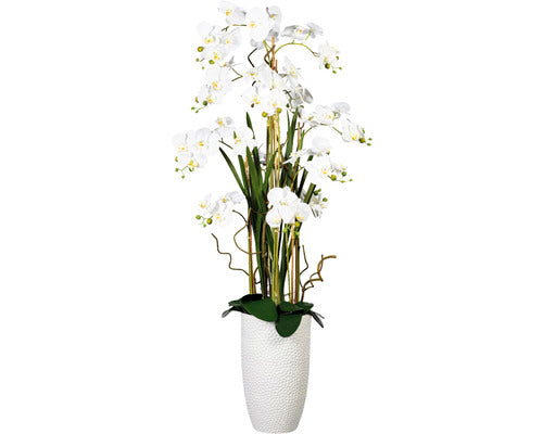 Aranjament Artificial Orhidee Phalaenopsis In Vas H 160 Cm Alb