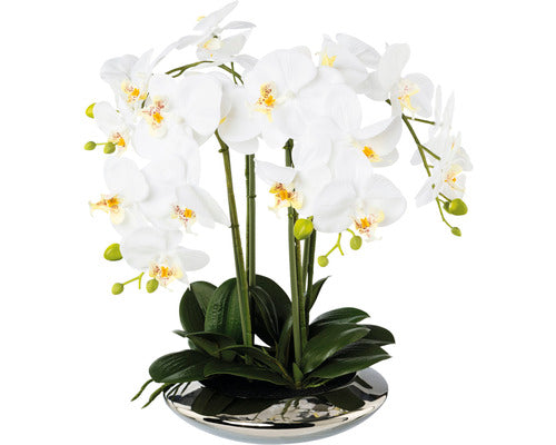 Planta Artificiala Orhidee Fluture Phalaenopsis In Ghiveci H 41 Cm Alb