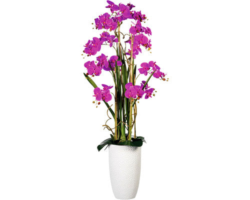 Aranjament Artificial Orhidee Phalaenopsis In Vas H 160 Cm Lila