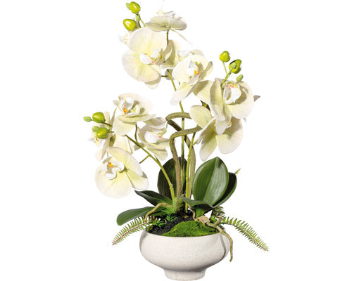 Planta Artificiala Orhidee Fluture Phalaenopsis In Vas 3 Ramuri H 50 Cm Alb