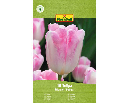 Bulbi De Lalele Floraself Infinity 11/12 10 Buc