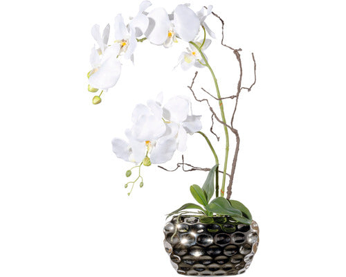 Aranjament Artificial Orhidee Phalaenopsis In Vas H 55 Cm Alb