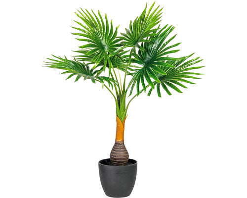 Pom Artificial Washingtonia In Ghiveci H 70 Cm Verde