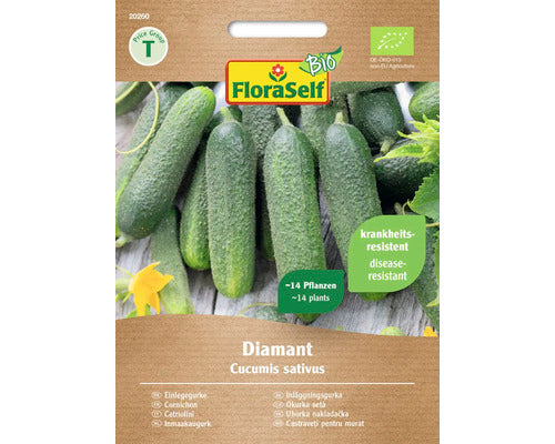 Seminte Legume Floraself Bio Castraveti Muraturi Diamant 1, 150gr