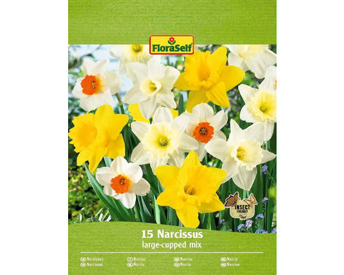 Bulbi Narcise Floraself Mari Mix 10/12 15 Buc