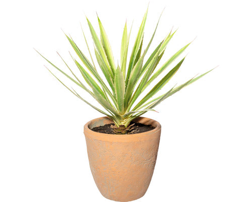 Planta Artificiala Yucca In Ghiveci H 45 Cm Verde