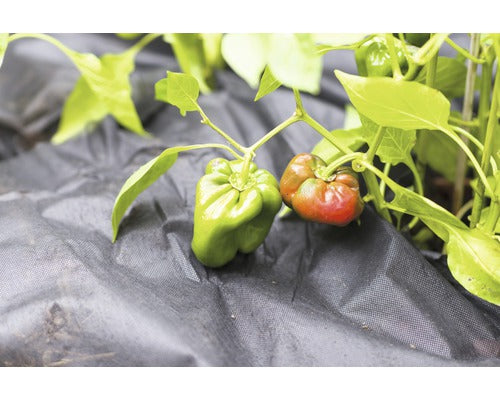 Folie Geotextila Anti-buruieni 50 G/mp Floraself® 25 X 2 M, Neagra