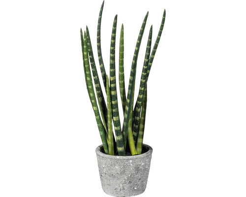 Planta Artificiala Limba Soacrei Sanseveria In Ghiveci H 45 Cm Verde