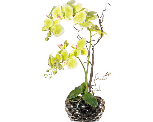 Aranjament Artificial Orhidee Phalaenopsis In Vas H 55 Cm Galben