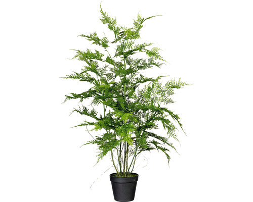 Planta Artificiala Feriga Asparagus Setaceus In Ghiveci H 80 Cm